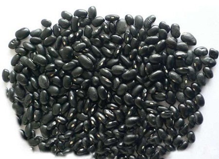 黑豆和黑云豆的区分 区分黑豆与黑芸豆的妙招